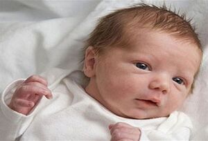 تولد نوزاد عجول نیمبلوکی در آمبولانس