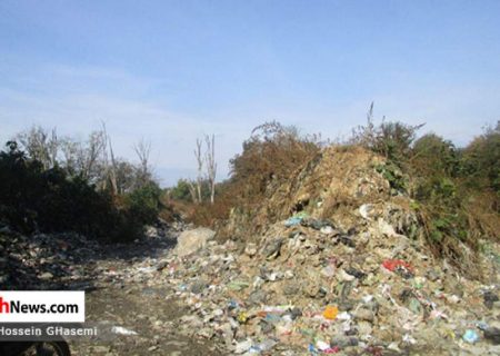 زباله مهمان ناخوانده جنگل‌های هیرکانی شیرگاه