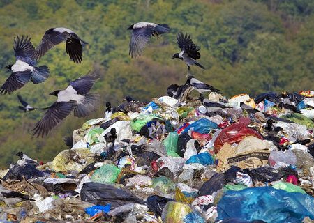 نکا، پایلوت طرح تفکیک زباله در مازندران