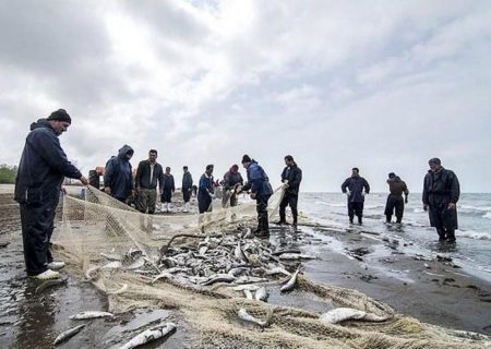 صید ۲۱۵ تن ماهی استخوانی در مازندران