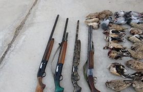 دستگیری شکارچیان غیرمجاز در مازندران