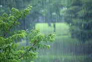 افزایش ۲۰ درصدی بارش‌ها در نخستین ماه از زمستان در مازندران