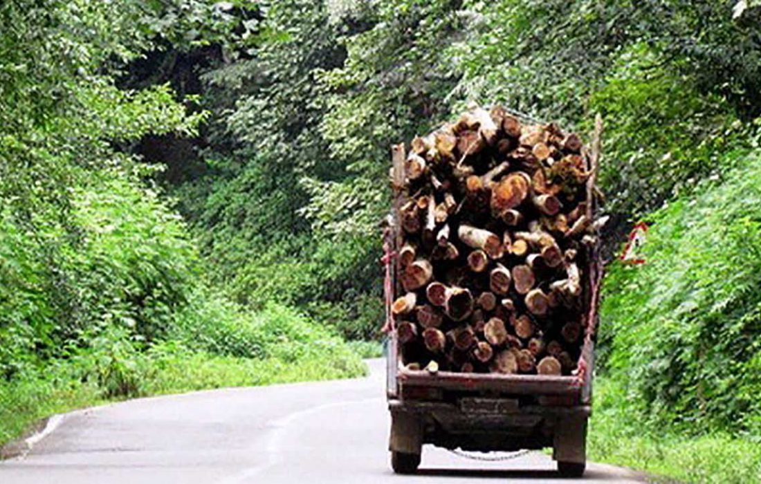 خودروی حامل چوب قاچاق در نکا به مقصد نرسید