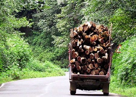 خودروی حامل چوب قاچاق در نکا به مقصد نرسید