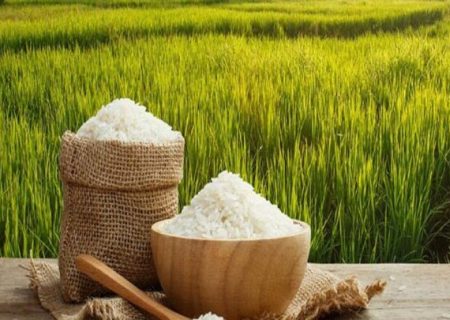شالیکاران در فروش برنج تعجیل نکنند