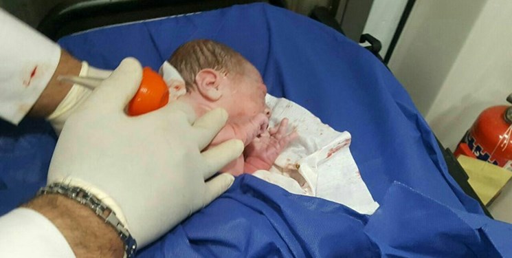 تولد نوزاد عجول در مازندران