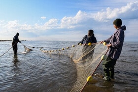 وضعیت وخیم رودخانه‌ در مازندران دلیل اصلی کاهش صید ماهیان استخوانی