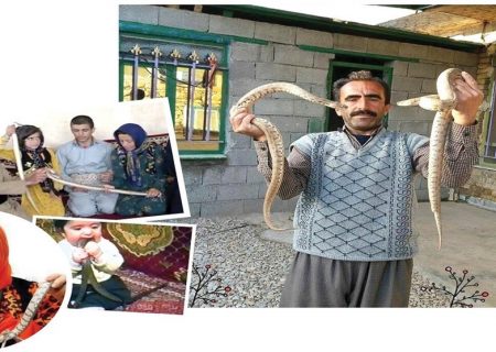 زندگی عجیب شهروند کرمانشاهی با خزندگان مرگبار