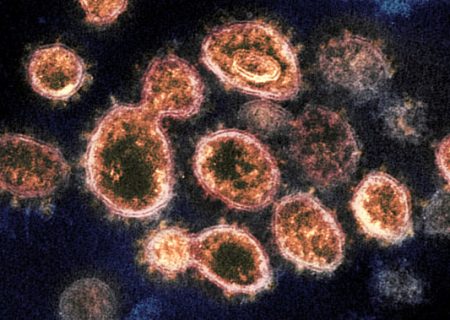 جزییات کشف یک ویروس مرگبارتر از کرونا در قزاقستان