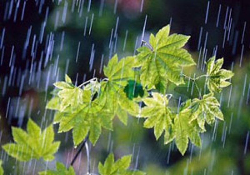 ادامه بارش تابستانی تا روز چهارشنبه در مازندران