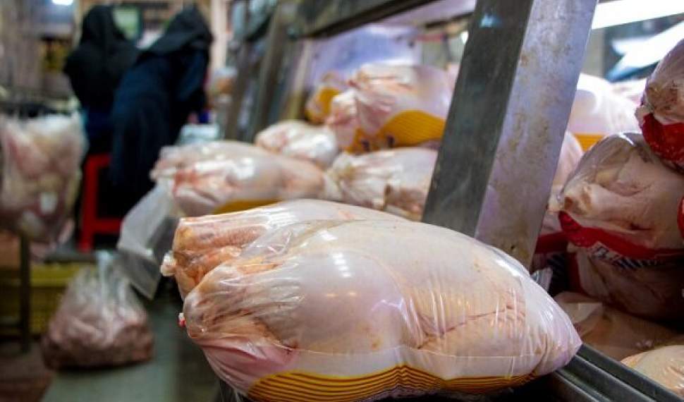 قیمت مرغ در بازار مازندران کاهشی شد