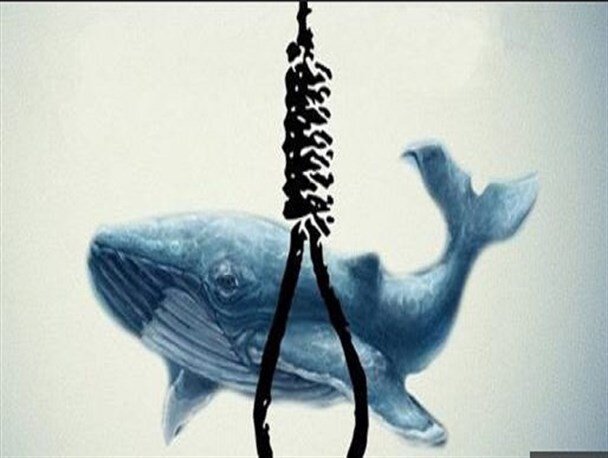 خودکشی دسته‌جمعی ۴ جوان در دریای خزر | باز هم پای بازی نهنگ آبی وسط بود؟
