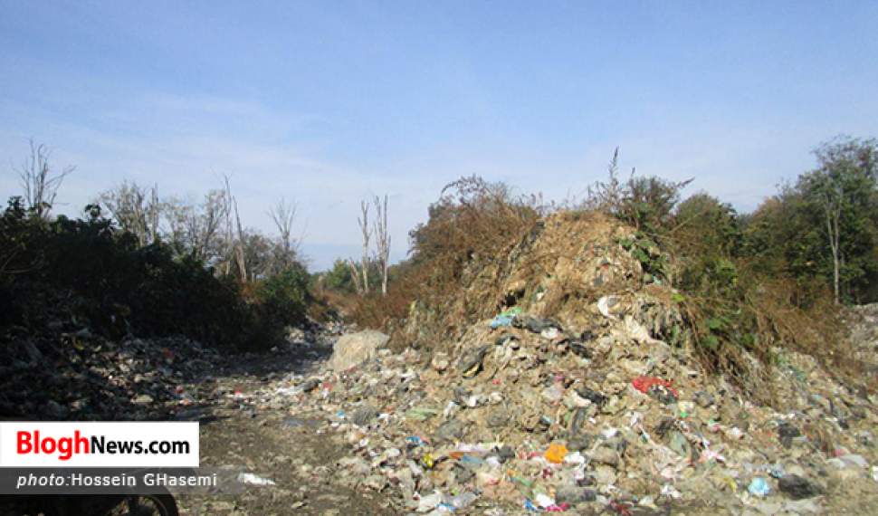 زباله مهمان ناخوانده جنگل‌های هیرکانی شیرگاه