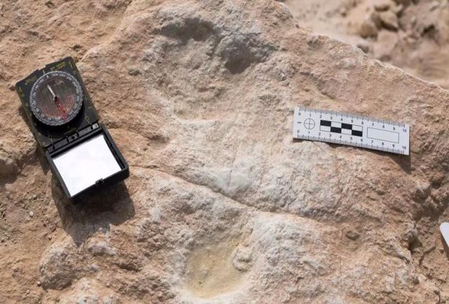 ردپای ۱۲۰ هزار ساله انسان خردمند در عربستان کشف شد
