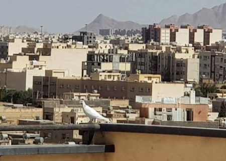 بازار آپارتمان‌های نقلی داغ شد!