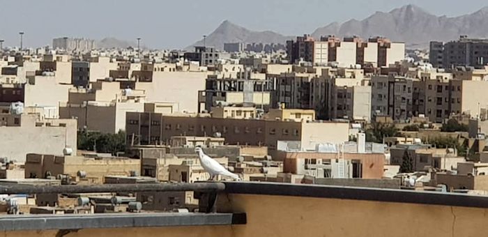 بازار آپارتمان‌های نقلی داغ شد!