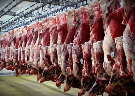 روند کاهشی قیمت گوشت آغاز شد