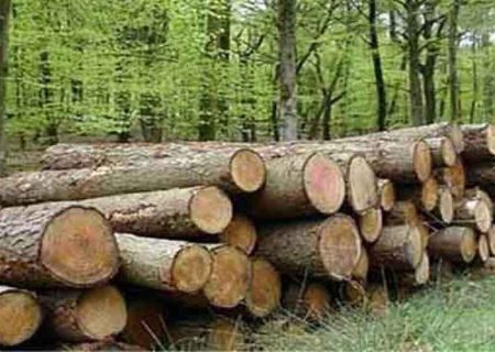 کشف چوب جنگلی قاچاق در ۲ شهر مازندران