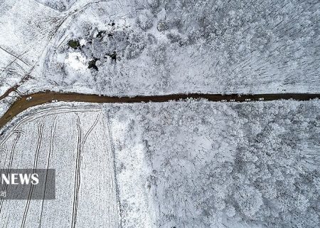 منتظر سرمای استخوان‌سوز باشید؛ کاهش ۲۰ درجه‌ای دما در برخی مناطق ایران | استان‌هایی که تا پایان هفته باید منتظر برف و باران باشند