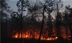 مهار آتش‌سوزی جنگل نکا