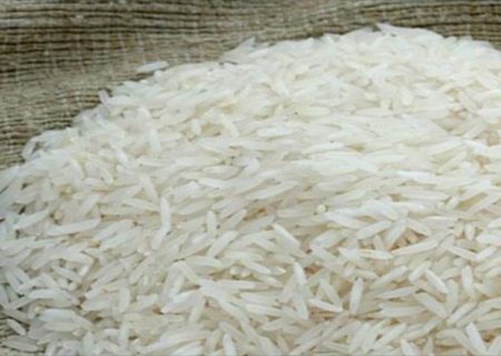 برنج طارم مازندران بورسی شد