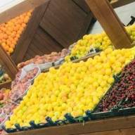 پاگشای ۹۰ هزار تومانی هر کیلو زردآلو در میادین میوه مازندران/گوجه ارزان و موز کمی گران شد