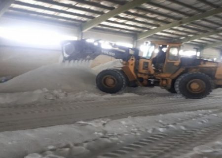 توزیع ۵۲ تن کود اوره برای توسعه کشت دانه های روغنی در نکا