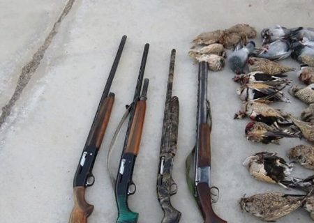 دستگیری شکارچیان غیرمجاز در مازندران