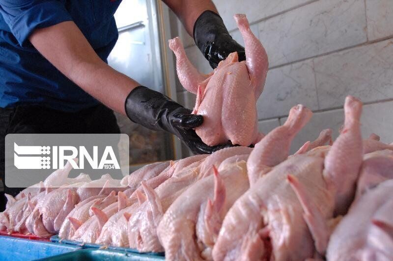 پشت پرده گرانی گوشت مرغ در مازندران/ دلالان بازار را برهم زدند