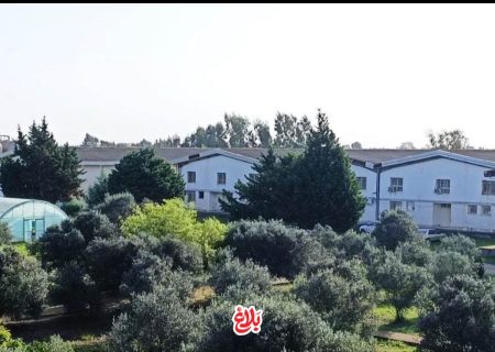 پژوهش در تبعید؛ از میز آزمایش تا سکوی انتظار