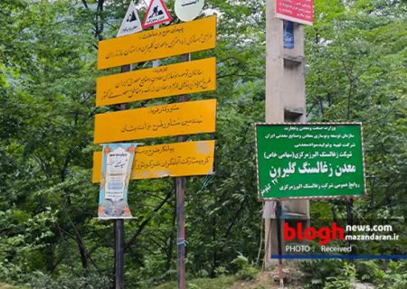 «گلیران» قبرستان جدید درختان هیرکانی