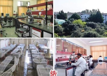 پیگیری ویژه قوه قضاییه برای نجات اکولوژی خزر