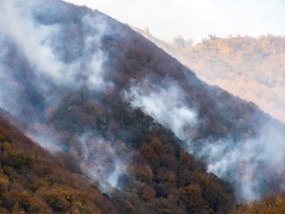 آتش سوزی جنگل های نکا مهار شد