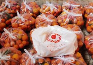 توزیع ۱۰۰ بسته معیشتی ویژه شب یلدا میان خانواده‌های تحت پوشش بهزیستی نکا