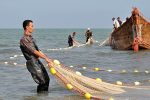صید یک‌هزار تنی ماهی استخوانی در دریای خزر مازندران
