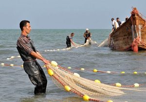 صید یک‌هزار تنی ماهی استخوانی در دریای خزر مازندران