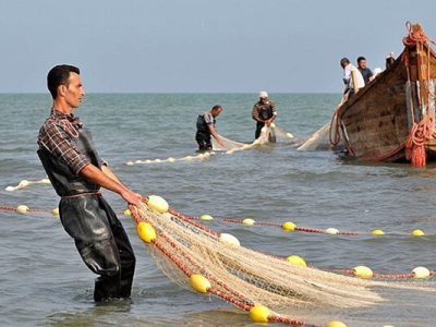 صید یک‌هزار تنی ماهی استخوانی در دریای خزر مازندران