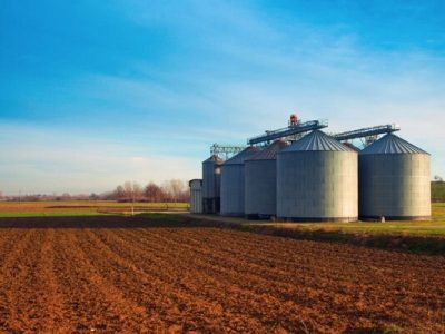 گردش ۵۱۷ هزار تن گندم در سیلوی شهید میرزاپور نکا