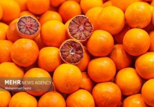 ۲۶۰۰ هکتار از باغات نکا شناسنامهدار شد