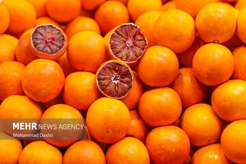 ۲۶۰۰ هکتار از باغات نکا شناسنامهدار شد