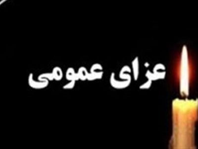 هیئت دولت ۴۰ روز عزای عمومی و ۷ روز تعطیلی اعلام کرد