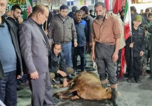 نذر قربانی در مازندران برای سلامتی رهبر انقلاب